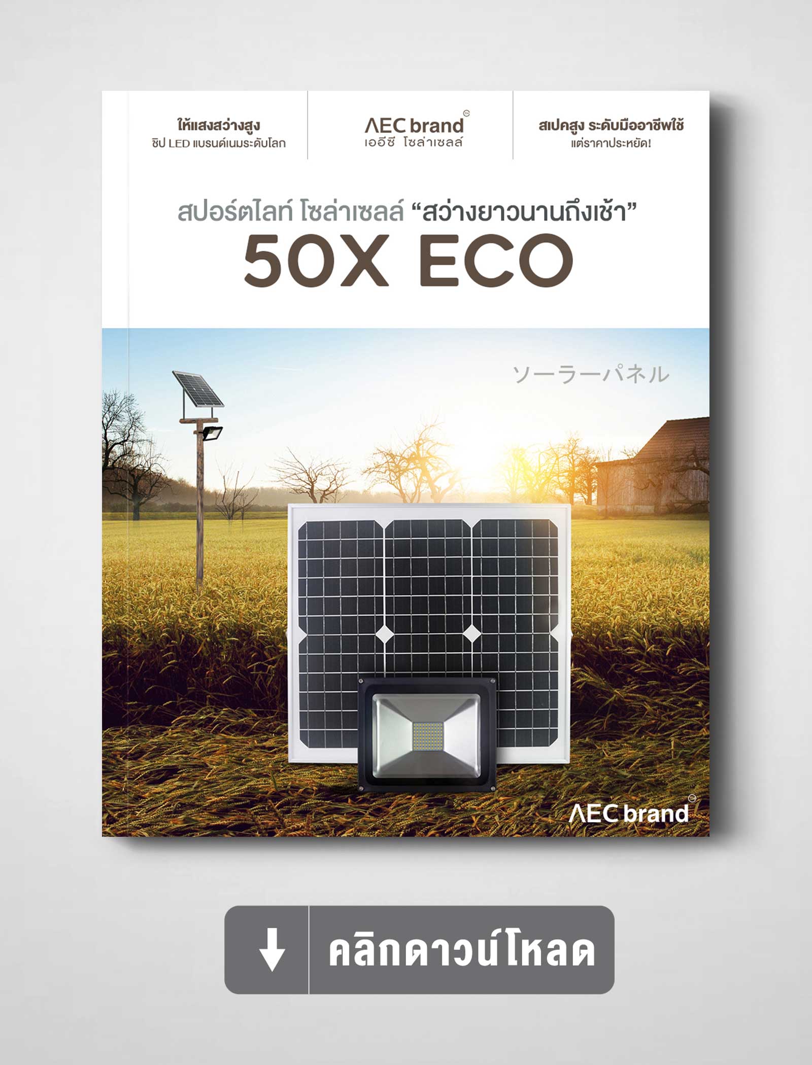 ดาวน์โหลดสเปค-สปอร์ตไลท์-โซล่าเซลล์-50X-ECO-AEC-BRAND