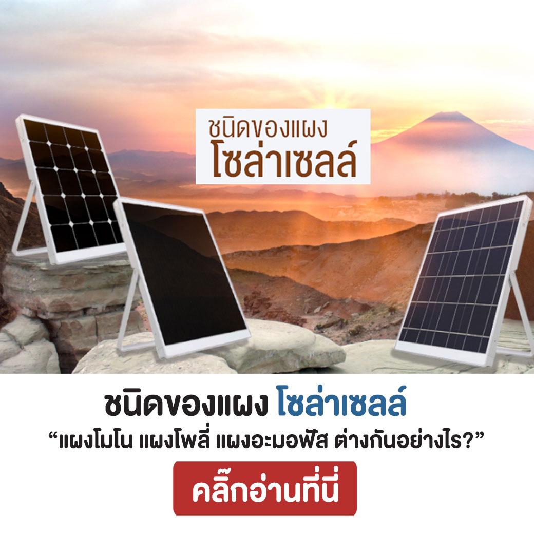 แผง โมโน