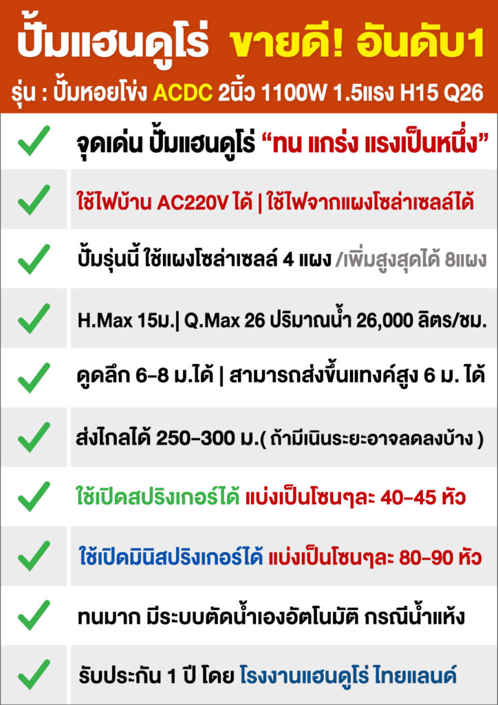1ปั้มหอยโข่ง2นิ้วACDC1100WH15Q26-P2