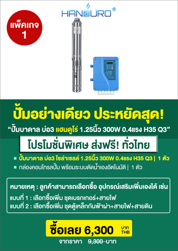 2บ่อ3บาดาล1.25นิ้ว300H35Q3-P3
