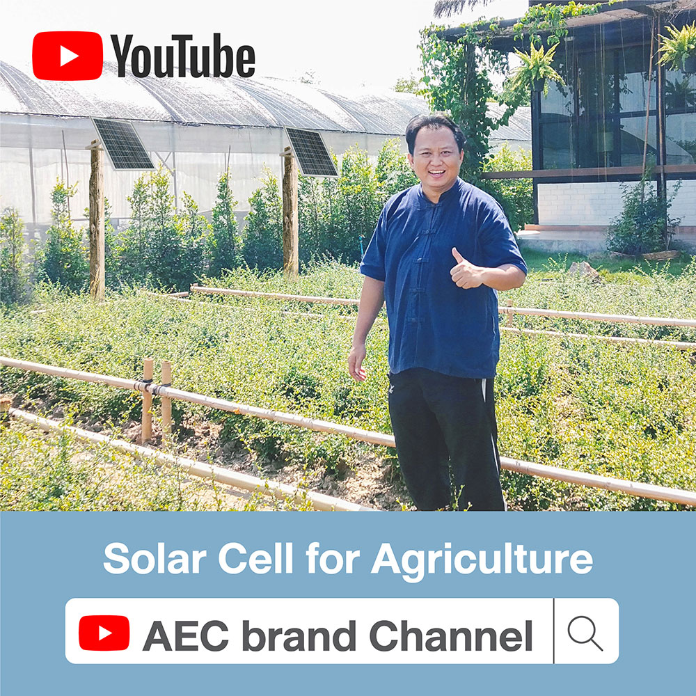 Thai-youtube-AEC-brand-Solar-Cell-for-agriculture