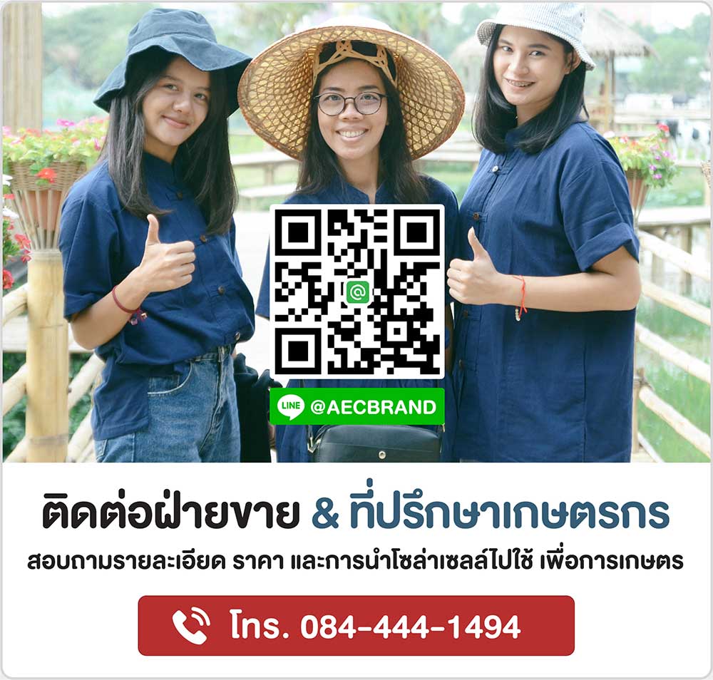 ติดต่อที่ปรึกษาเกษตรกรรุ่นใหม่-AECbrand