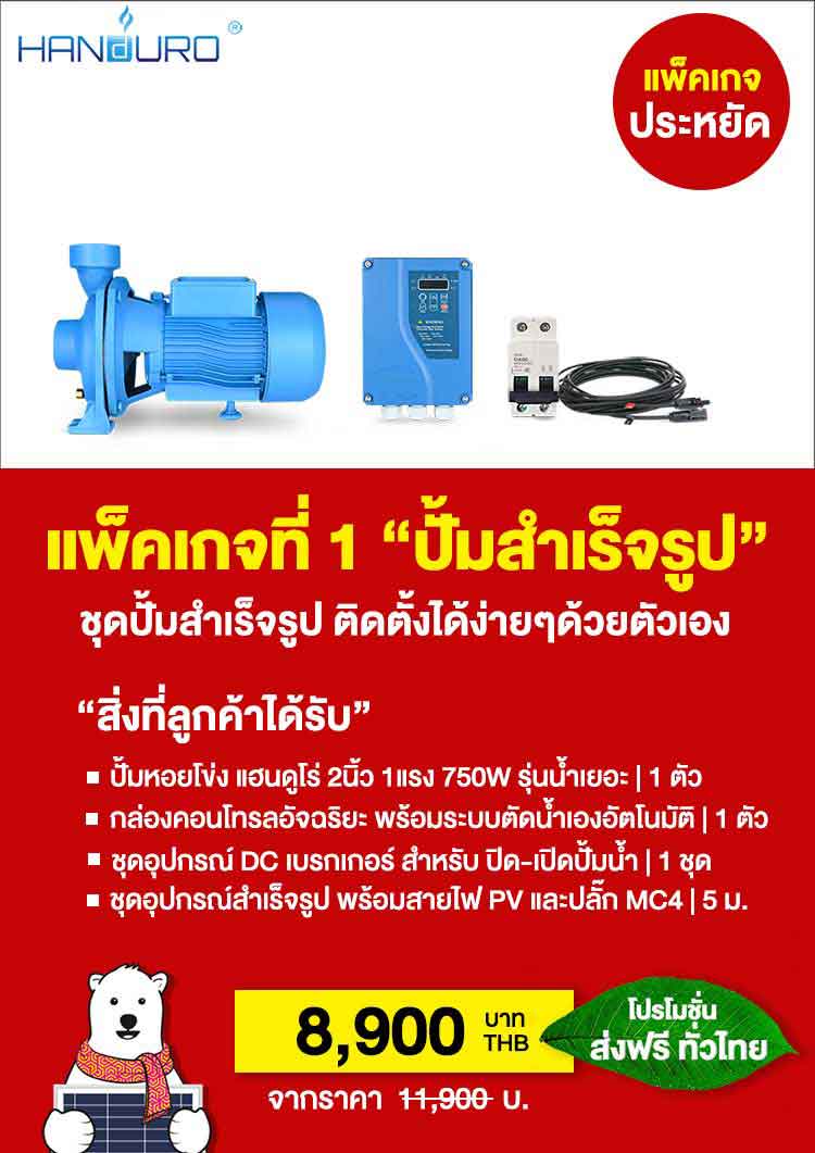 แพ็คเกจ1 ราคาปั้มโซล่าเซลล์ 2นิ้ว750W Handuro