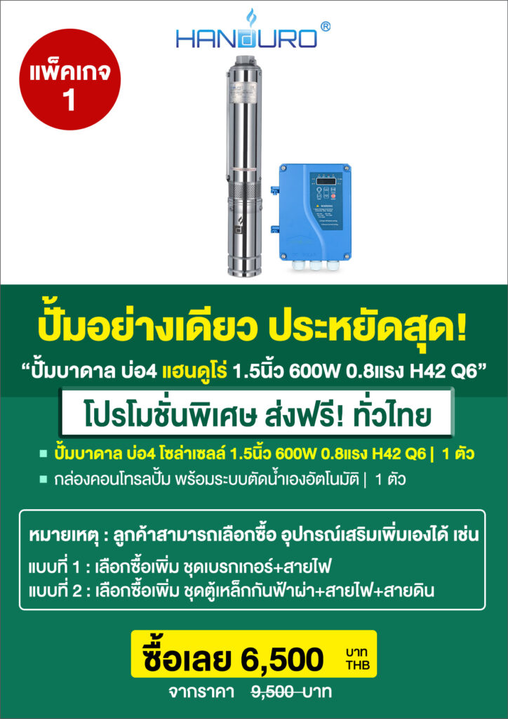 1บ่อ4บาดาล1.5นิ้ว600H42Q6-P3
