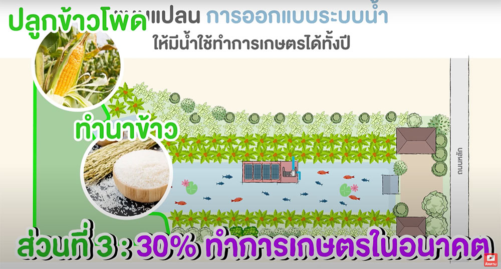 ส่วนที่3-30%-ปลูกข้าวและข้าวโพด