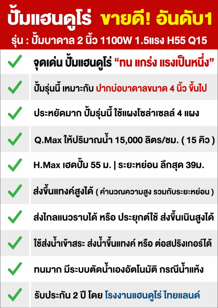 3บ่อ4บาดาล2นิ้ว1100H55Q15-P2
