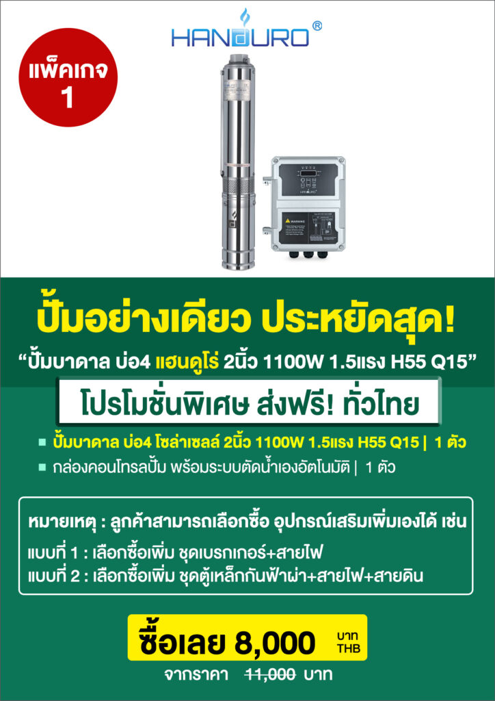 3บ่อ4บาดาล2นิ้ว1100H55Q15-P3