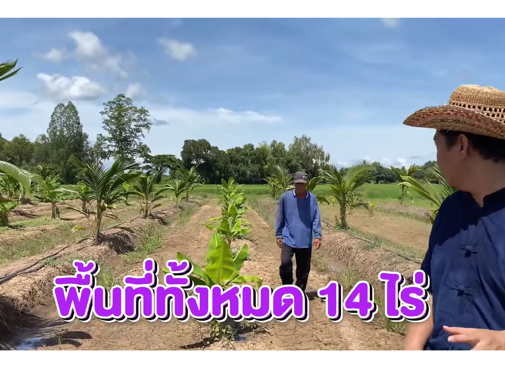 07 พื้นที่เพาะปลูก 14ไร่