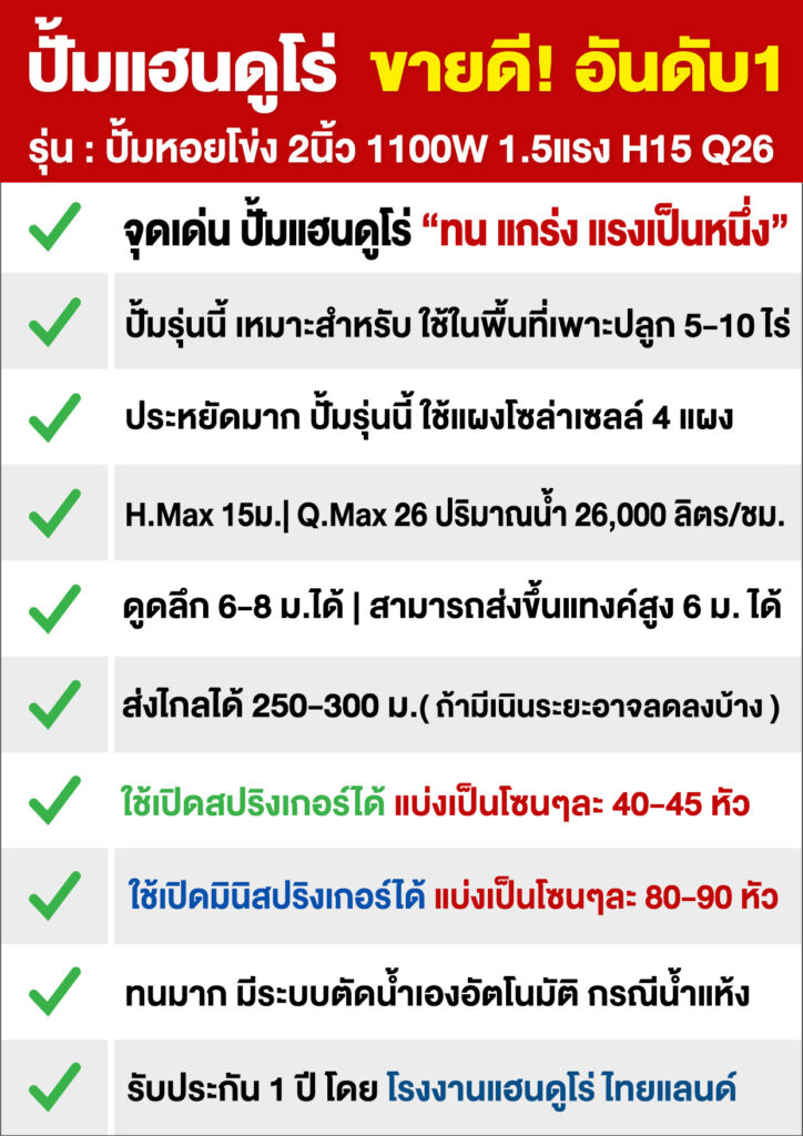 3ปั้มหอยโข่ง2นิ้ว1100WH15Q26-P2
