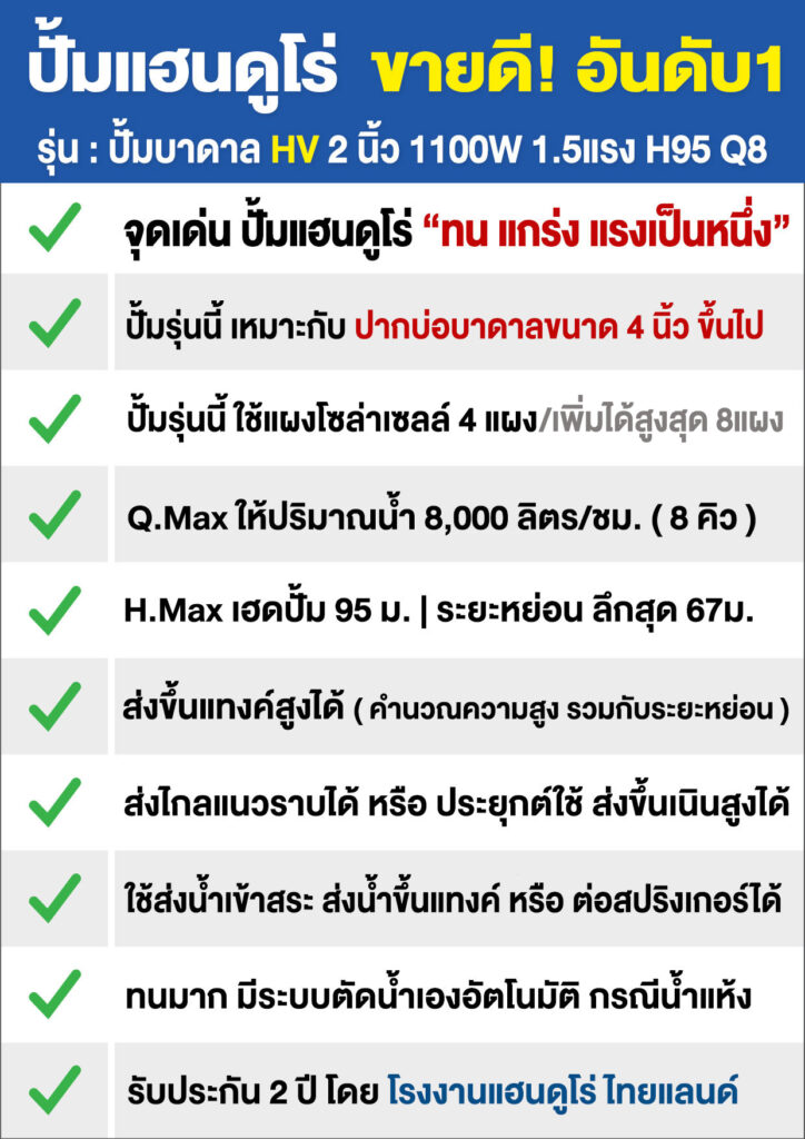 4ปั้มซับเมอร์ส2นิ้วHV-1100WH95Q8-P5