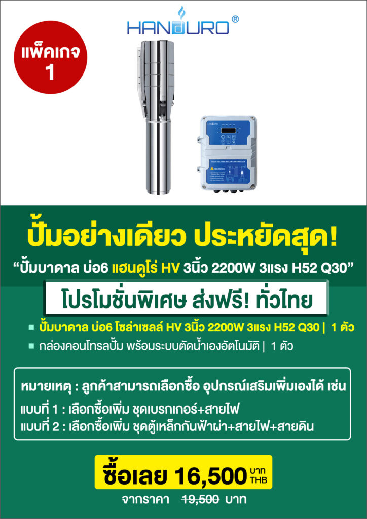 6ปั้มซับเมอร์ส3นิ้วHV-2200WH52Q30-P2