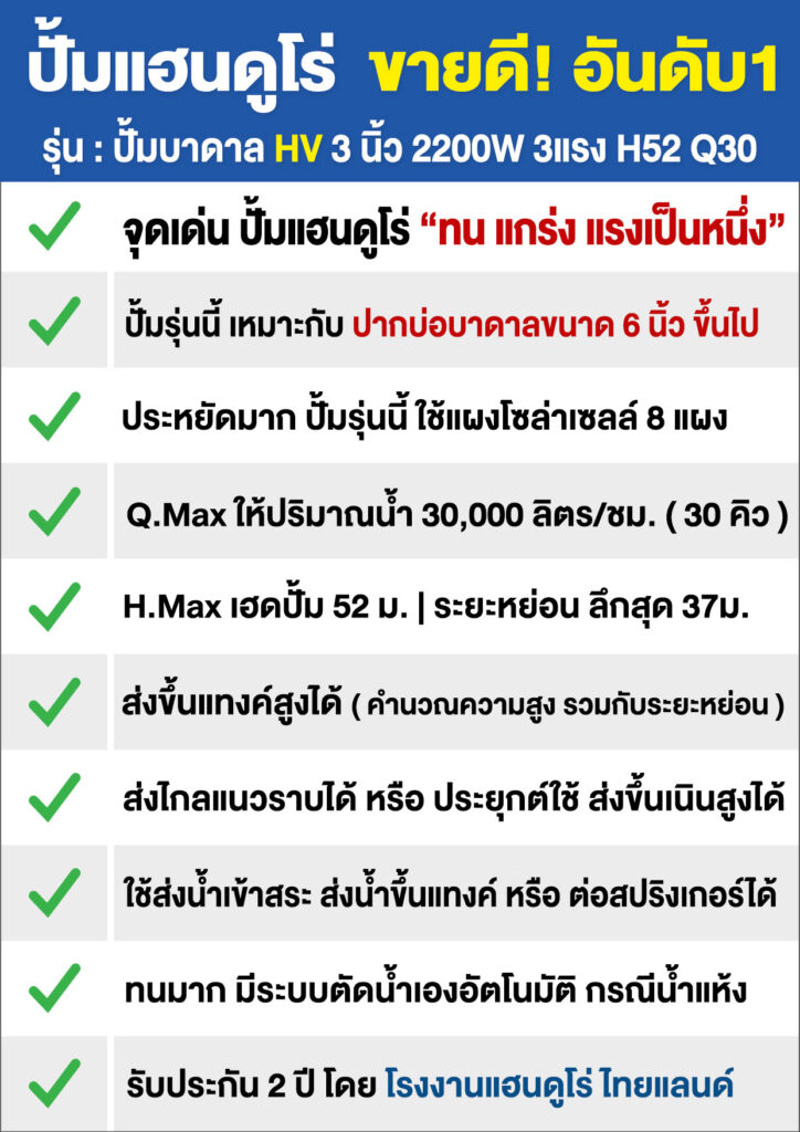 6ปั้มซับเมอร์ส3นิ้วHV-2200WH52Q30-P5