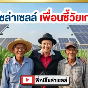 พี่หมีโซล่าเซลล์-เพื่อนซี้วัยเกษียณ