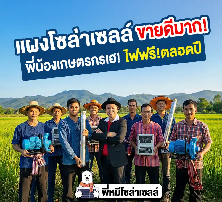 แผงโซล่าเซลล์แฮนดูโร่-ขายดีมาก